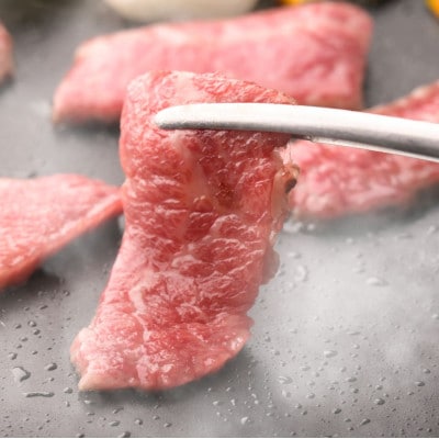 【のし付き】【お歳暮】五種のバラエティー焼肉セット つけだれ付き 計1kg【配送不可地域：離島】