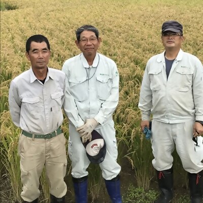 【令和7年産米】恋の予感5kg