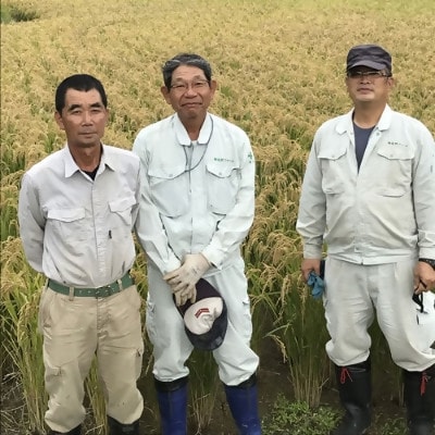 【令和7年産米】恋の予感10kg