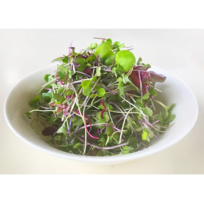 マイクログリーンズ(サラダミックス:6～8種の野菜200g詰め)【配送不可地域：離島】