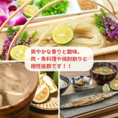 大分県産かぼす【B級品】2kg