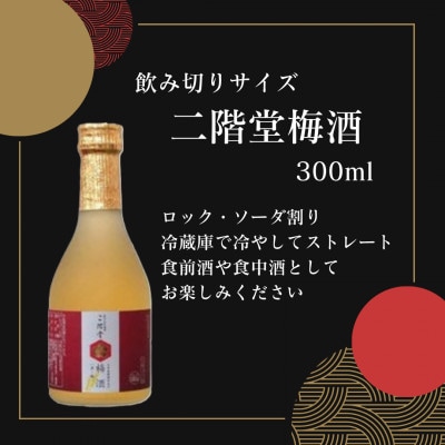 【数量限定♪】大分むぎ焼酎　二階堂梅酒(300ml)12本セット