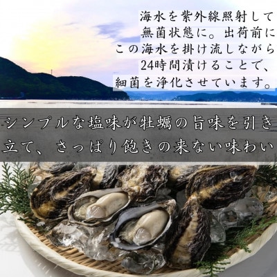 ひとくち 真牡蠣 　海雫　(20個入り)【配送不可地域：離島・沖縄県】
