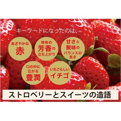 大分県産ベリーツ(270g×2パック)(日出町)【配送不可地域：離島・沖縄県】