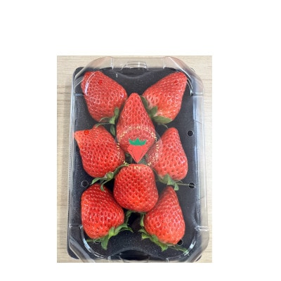 野上農園の土耕栽培ベリーツ 計600g【配送不可地域：離島】