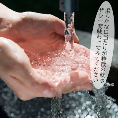 日出町の天然水「ひじん水」2L×6本と二階堂25度(900ml)2本　水割りセット【複数個口で配送】
