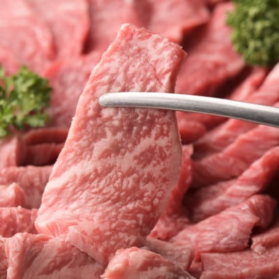 【毎月定期便】お肉のわくわく定期便(つけダレ、ステーキソース付き)全6回【配送不可地域：離島】