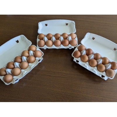 【発送月固定定期便】平飼い卵なちゅら(30ヶ入り)全12回【配送不可地域：離島】