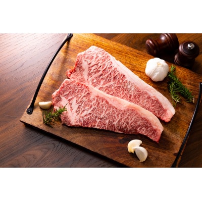 【毎月定期便】おおいた豊後牛サーロインステーキセット 500g(250g×2枚)(日出町)全3回【配送不可地域：離島】