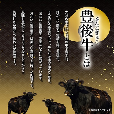 豊後牛ももしゃぶしゃぶ(600g) ギフトにもおすすめな人気のしゃぶしゃぶ用お肉【配送不可地域：離島】