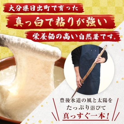 【数量限定】日出町産自然薯「ねばりごし一本」 (1kg)