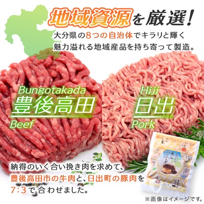 大分の恵みハンバーグ 1.6kg (160g×10個)(日出町)【配送不可地域：離島】