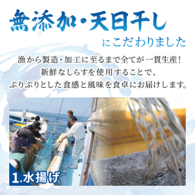 豊後の海の風味　口いっぱいに広がる新鮮な味わい　漁師のぶっかけしらす丼＆釜揚げちりめん【配送不可地域：離島】