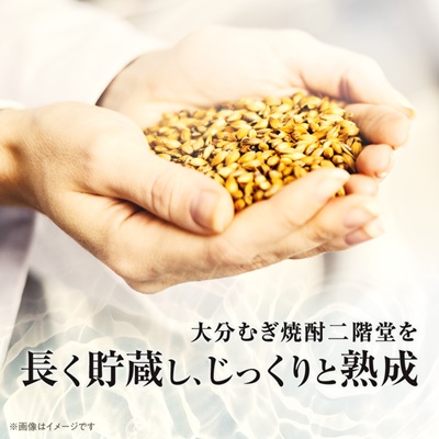 大分むぎ焼酎　二階堂吉四六つぼ・吉四六瓶・豊後路・やつがい(720ml)4本セット