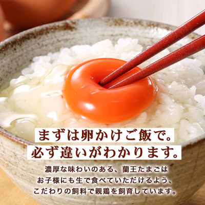 蘭王たまご　10個入り2パック　ギフト箱でお届け