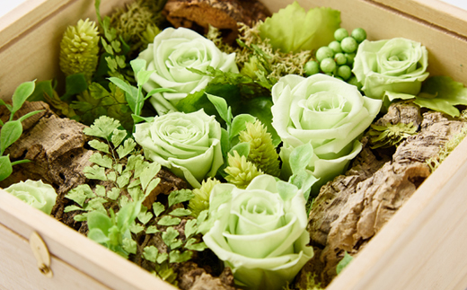 プリザーブドフラワー緑