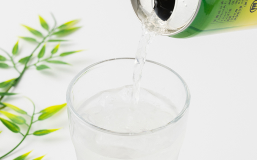 大分むぎ焼酎 二階堂 #ニカソー缶かぼす(350ml×48本)