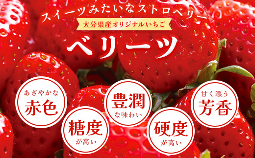 大分県産ベリーツ(270g×2パック)(日出町)【配送不可地域：離島・沖縄県】