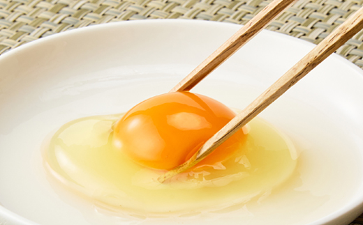 大分生まれのAW飼い有精卵「豊の米卵」10kg(赤卵)【配送不可地域：離島】