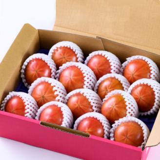 2026年1月中旬から順次発送【糖度8度以上】あま～いトマト「トマ王 潮」約2kg【配送不可地域：離島】