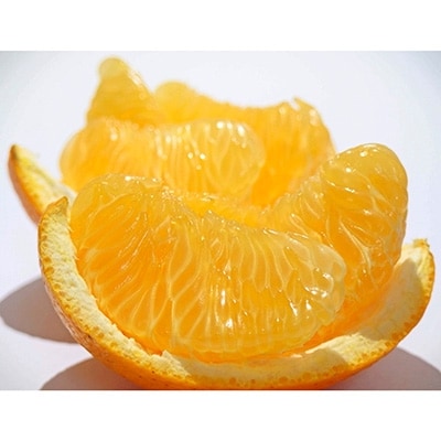 【2026年3月発送】紅八朔　約5kg(化粧箱入り)