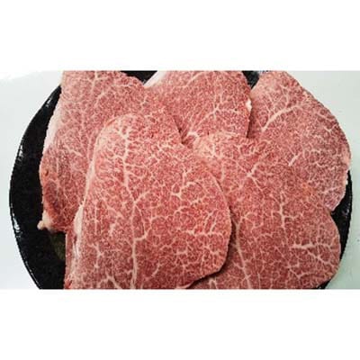 肉質4等級以上のお肉 おおいた和牛シャトウブリアンステーキ(100g×5枚)【配送不可地域：離島】