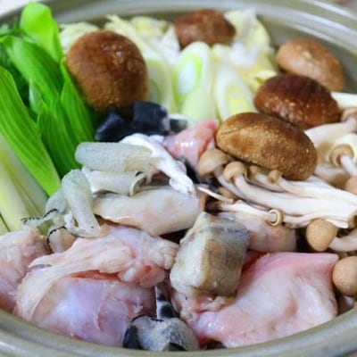 日出産とらふぐ鍋セット(4人前)【配送不可地域：離島】