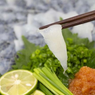 日出産とらふぐ料理セット(6人前)白子付き【配送不可地域：離島】