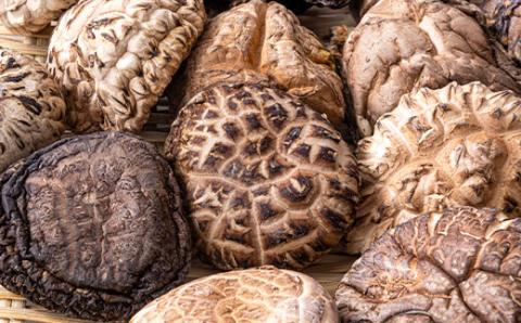 大分県産乾椎茸　上どんこ(120g)