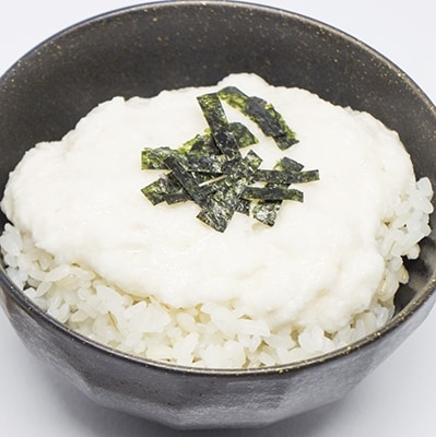 【1月～順次発送予定分】日出町産自然薯「ねばりごし一本」 (800g)