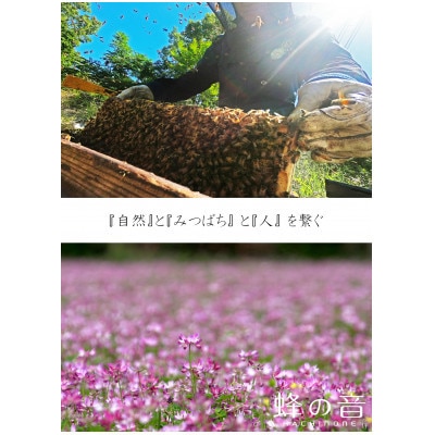 【詰め替え用】純粋国産百花蜂蜜700g×2
