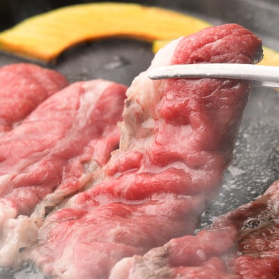 【のし付き】【お中元】おおいた和牛切り落とし(合計800g)【配送不可地域：離島】