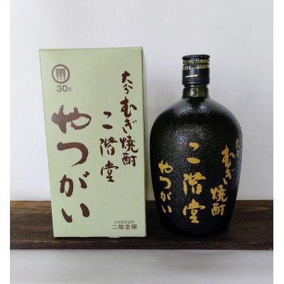 大分むぎ焼酎　二階堂吉四六瓶25度2本とやつがい30度2本(720ml)4本セット