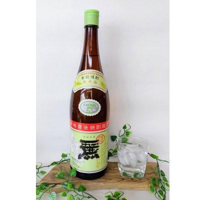 大分むぎ焼酎　二階堂速津媛2本と麗(うらら)2本25度(1800ml)4本セット