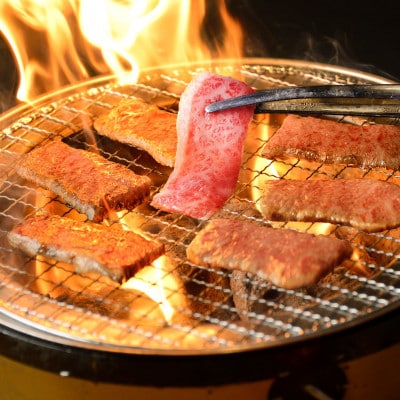 五種のバラエティー焼肉セット つけだれ付き 計1kg【配送不可地域：離島】