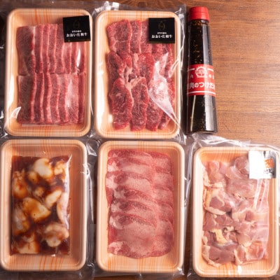【のし付き】【お歳暮】五種のバラエティー焼肉セット つけだれ付き 計1kg【配送不可地域：離島】