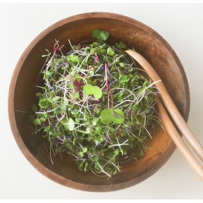 マイクログリーンズ(サラダミックス:6～8種の野菜200g詰め)【配送不可地域：離島】