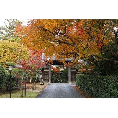 【返礼品なし】大分県日出町への応援寄附(1,000円コース)