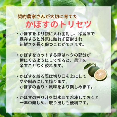 大分県産かぼす【B級品】4kg