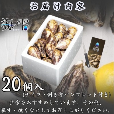 ひとくち 真牡蠣 　海雫　(20個入り)【配送不可地域：離島・沖縄県】