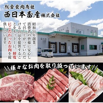 おおいた和牛 ヒレ塊 1本 (約4kg)【配送不可地域：離島】