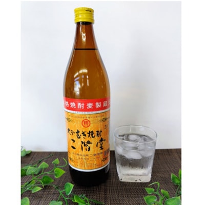 おおいた冠地どりの岩塩焼き2パック＆二階堂と速津媛20度(900ml)2本セット【複数個口で配送】【配送不可地域：離島】