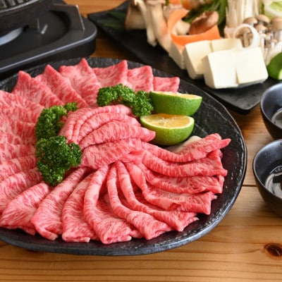 【2ヵ月毎定期便】おおいた和牛たべつくし(日出町)全6回【配送不可地域：離島】