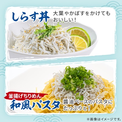 豊後の海の風味　口いっぱいに広がる新鮮な味わい　漁師のぶっかけしらす丼＆釜揚げちりめん【配送不可地域：離島】