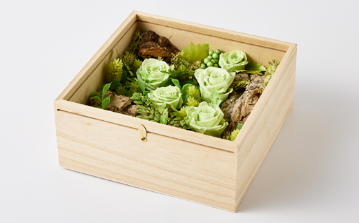 プリザーブドフラワー緑