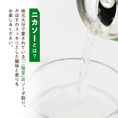 【大分限定】大分むぎ焼酎 二階堂 #ニカソー缶カボス 350ml×12本 AG59