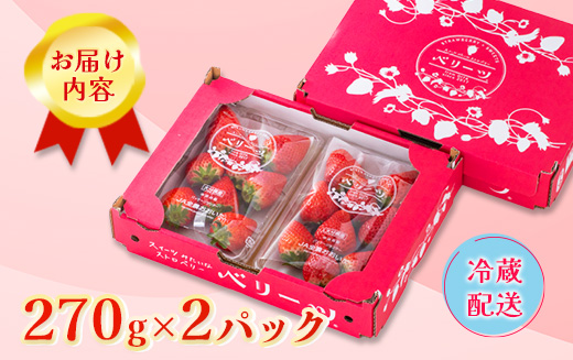 大分県産ベリーツ(270g×2パック)(日出町)【配送不可地域：離島・沖縄県】