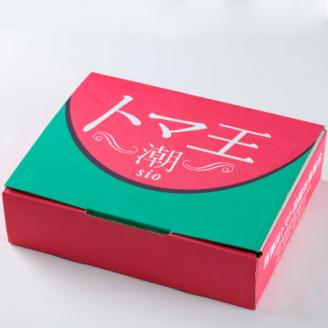 2026年1月中旬から順次発送【糖度8度以上】あま～いトマト「トマ王 潮」約2kg【配送不可地域：離島】