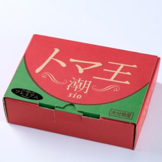 2026年1月下旬から順次発送【糖度10度以上】高糖度トマト 「トマ王 潮プレミアム」約9玉～【配送不可地域：離島】