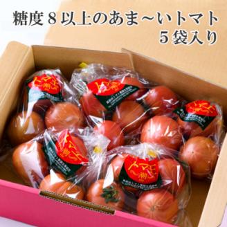 【糖度8度以上】あま～いトマト「トマ王 潮」(約300g×5袋)【配送不可地域：離島】